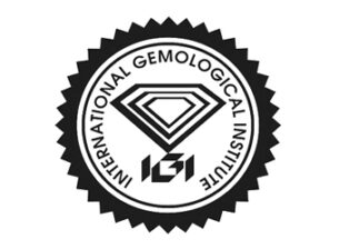 igi logo